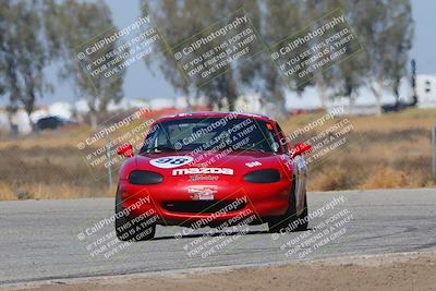 media/Oct-14-2023-CalClub SCCA (Sat) [[0628d965ec]]/Group 4/Qualifying/